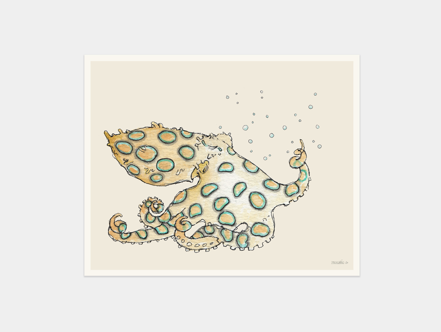 Print 24x30cm - hapalochlaena lunulata