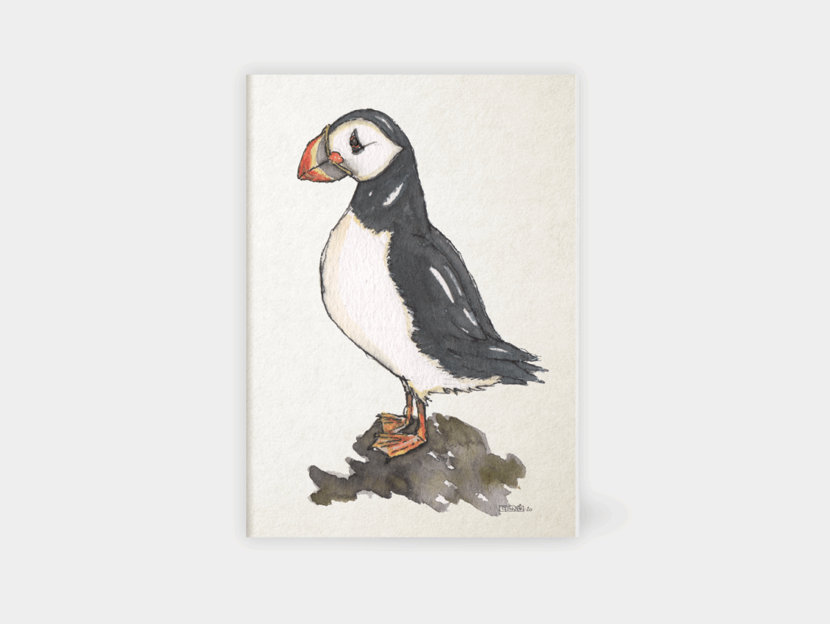 Sketchbook - Puffin