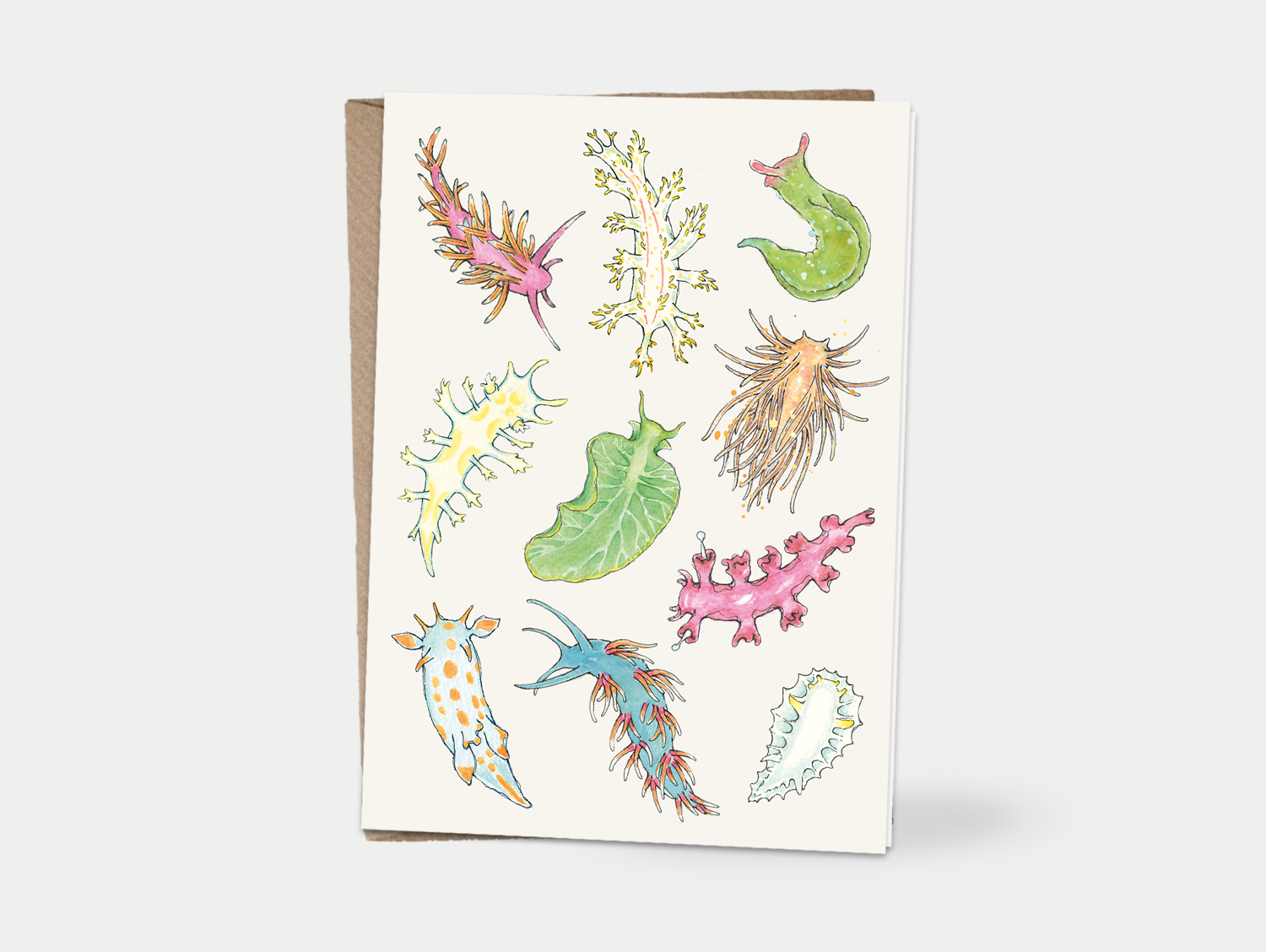 Card - Marine Biology Nudibranchs