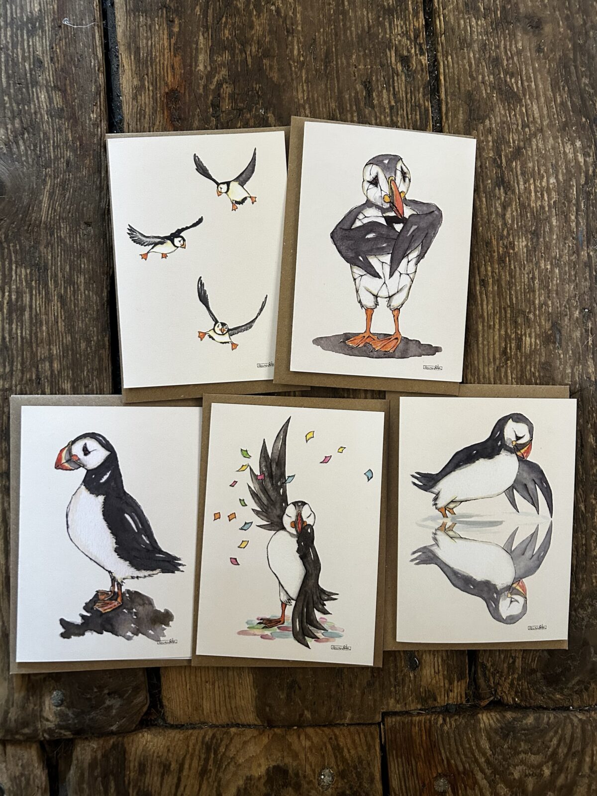 Card - 5pk Puffin cards