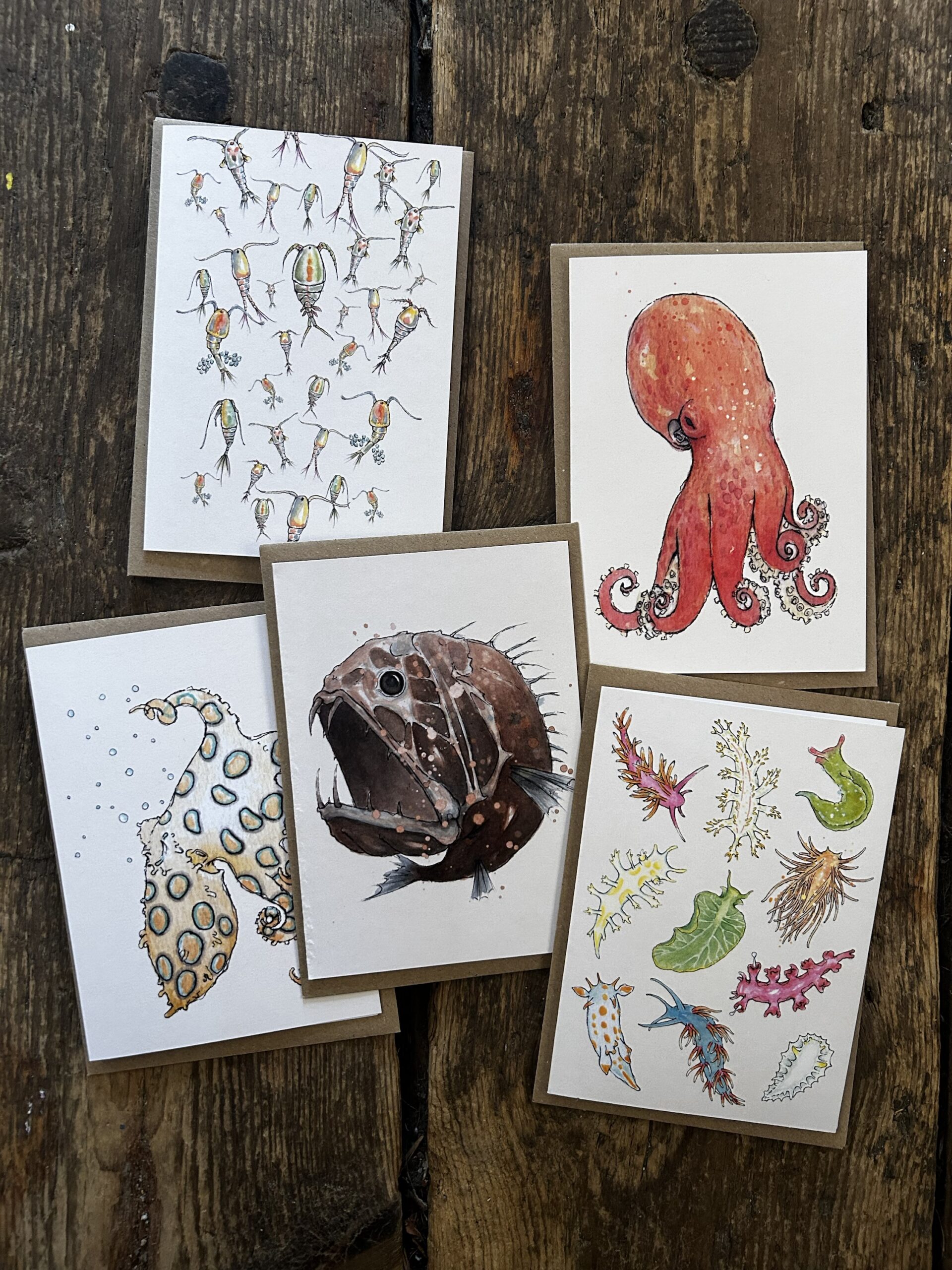 Card - 5pk Marine Biology