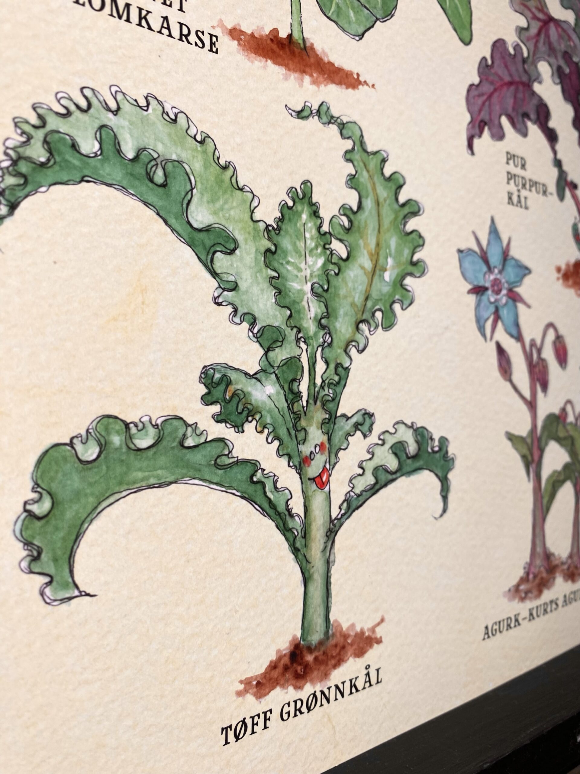 Poster - Veggies - Image 4