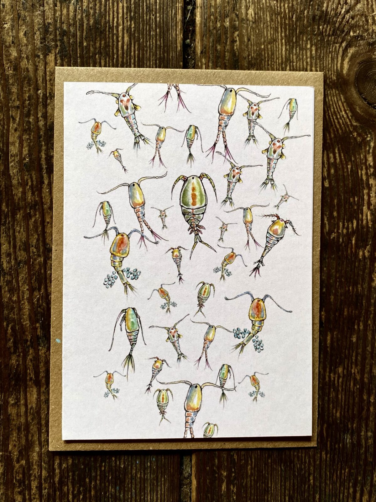 Card - Marine biology Copepods