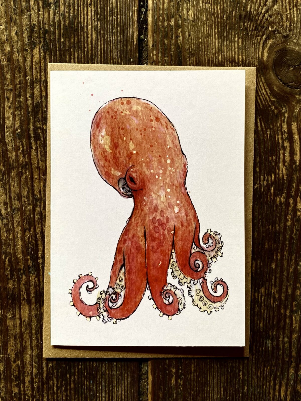 Card - Marine Biology Eledone cirrhosa