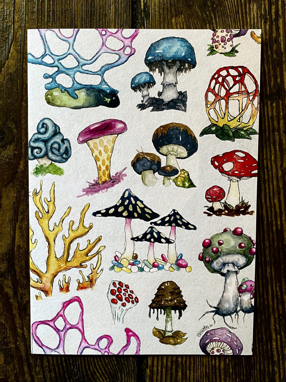 Sketchbook - Mushrooms Light