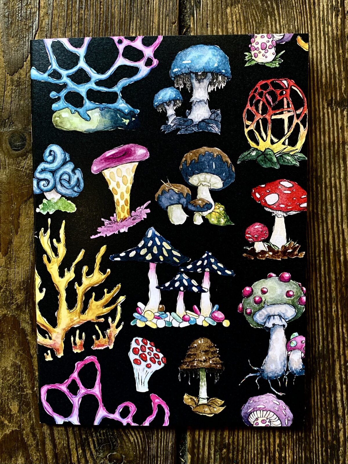 Sketchbook - Mushrooms dark