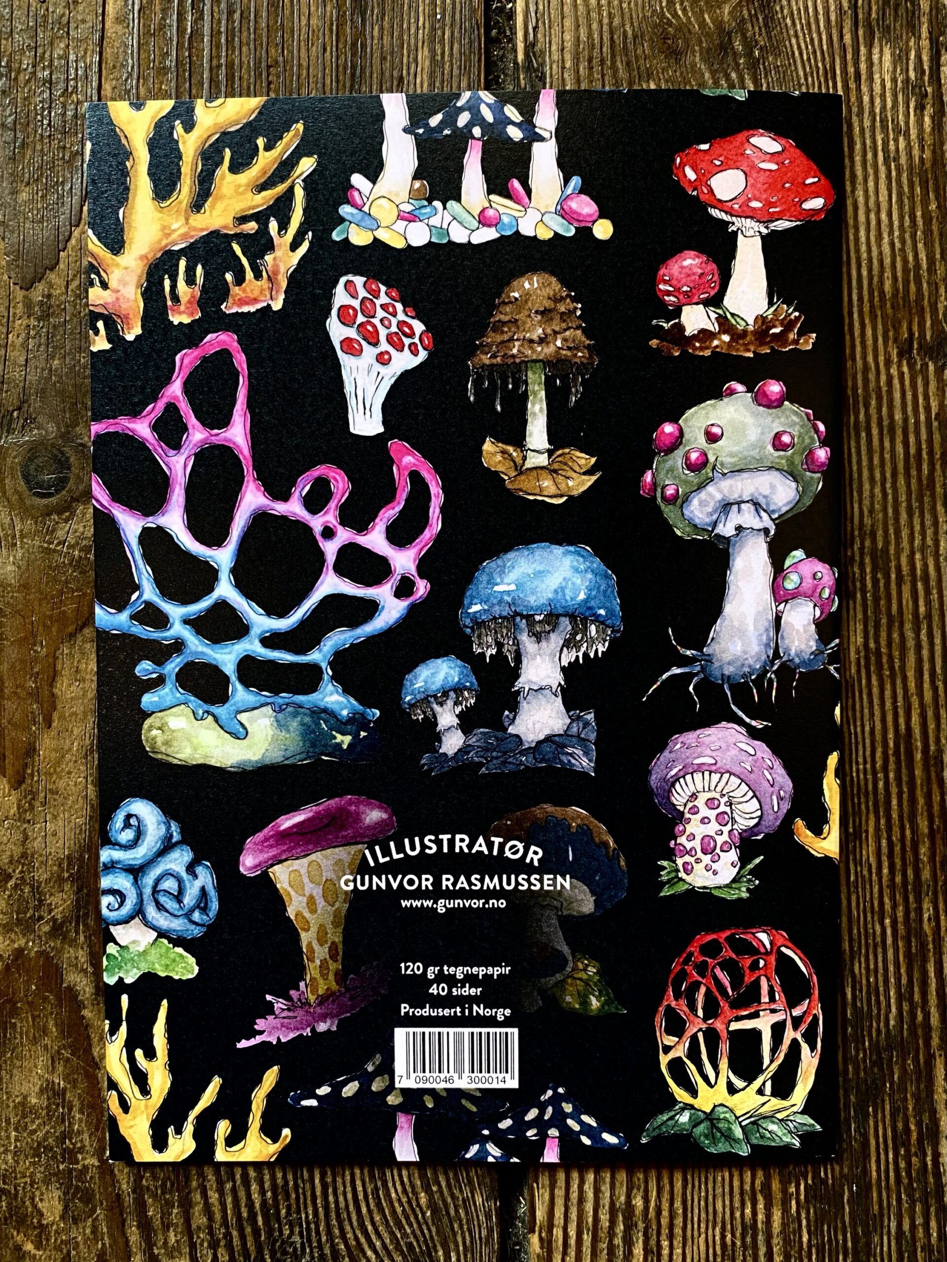 Sketchbook - Mushrooms dark - Image 2