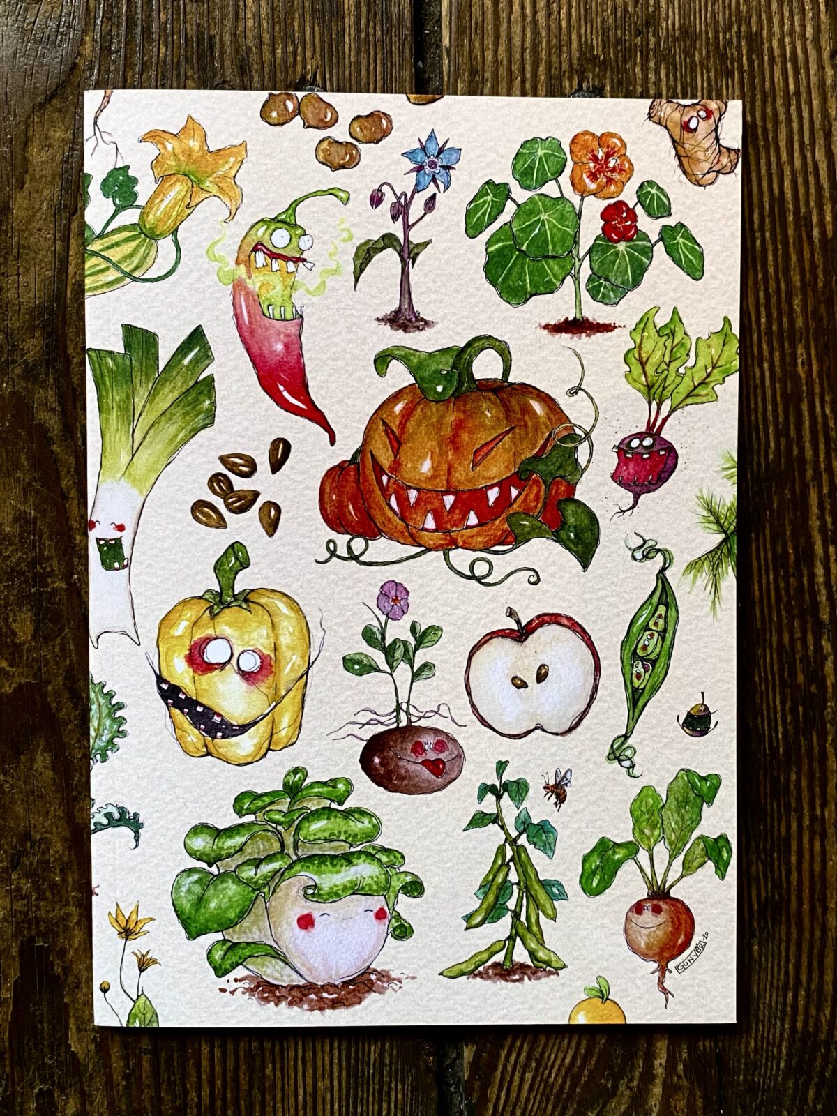 Sketchbook - Veggies