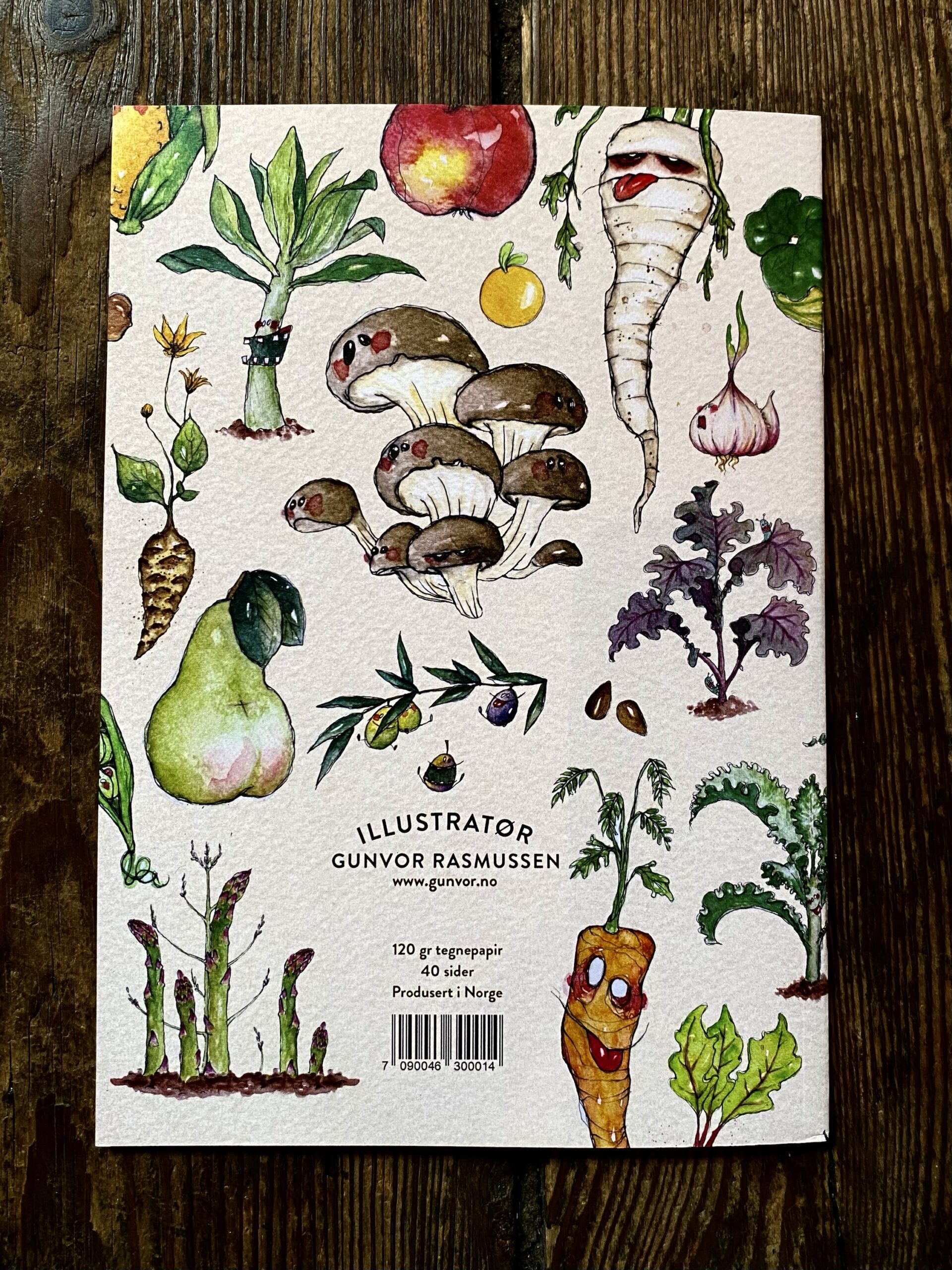 Sketchbook - Veggies - Image 2