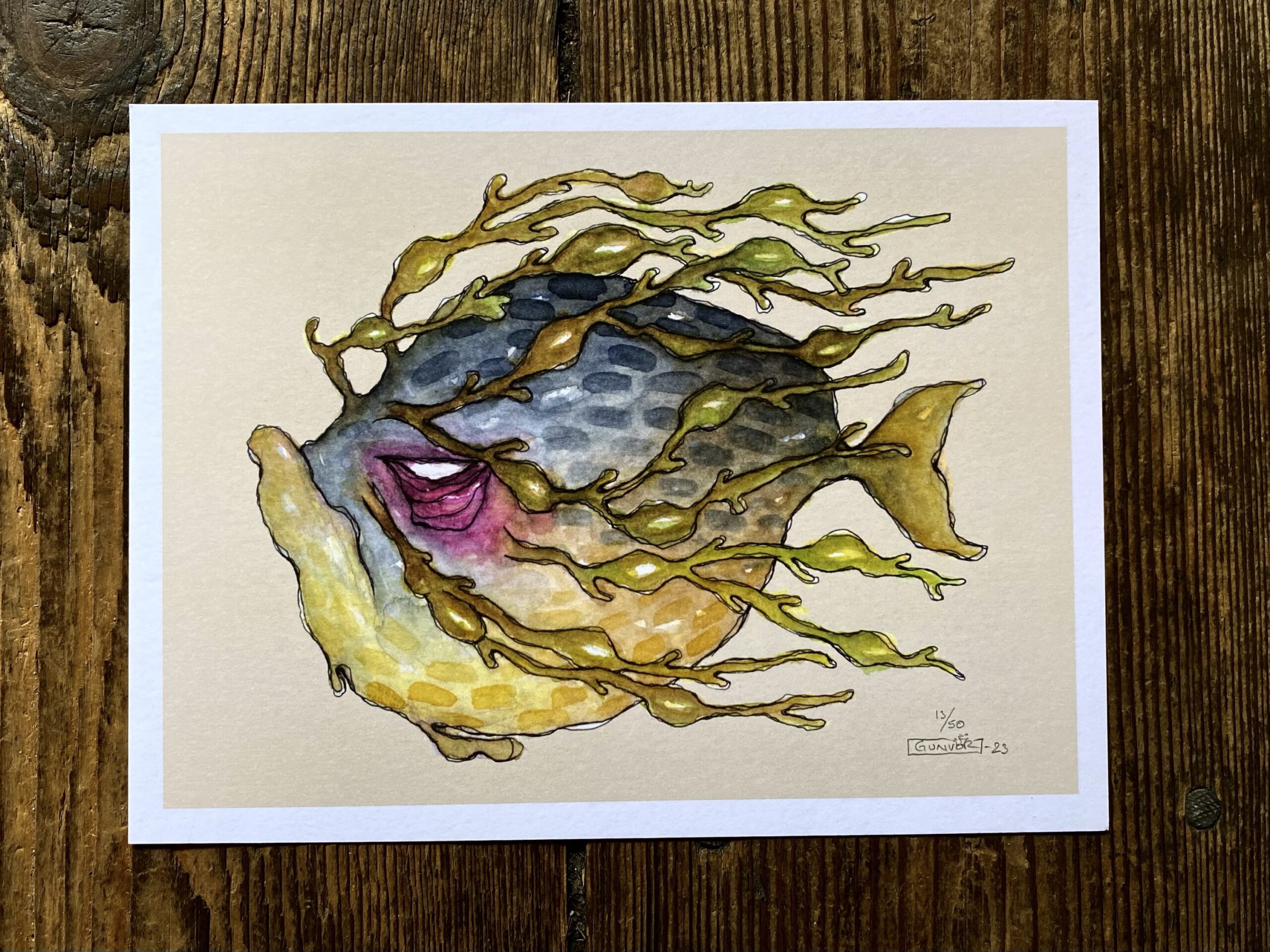Print 18x24 cm – Seaweed Fish