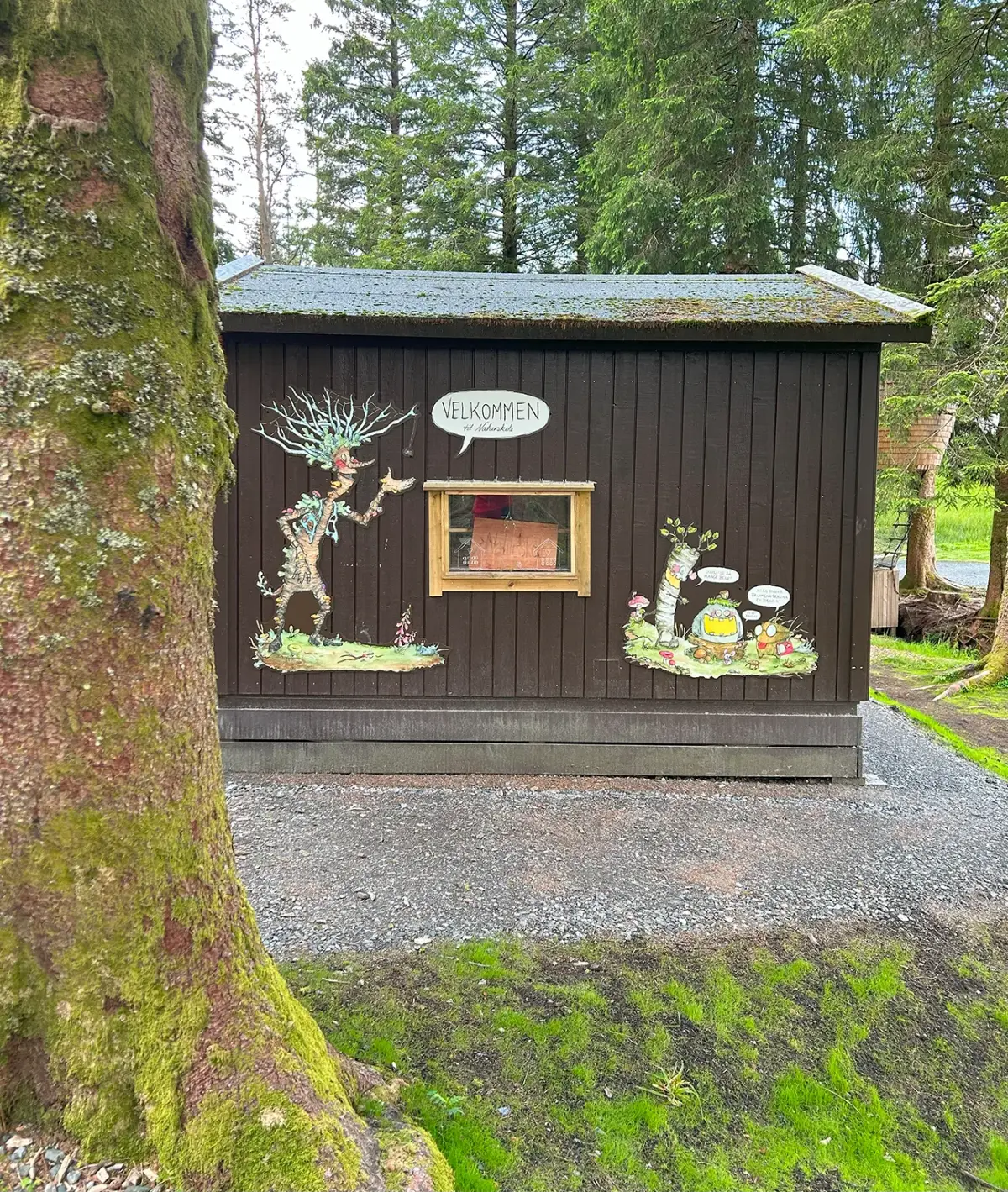 Forest guardians for Nature School Mt Fløyen