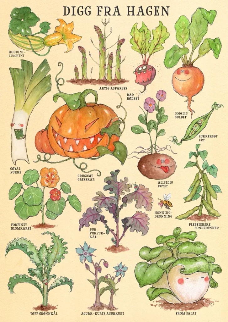 Poster - Veggies