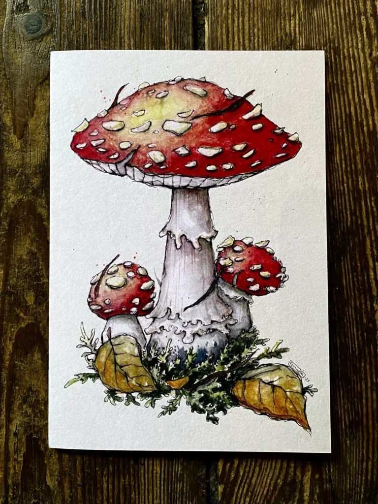 Sketchbook - Amanita Muscaria