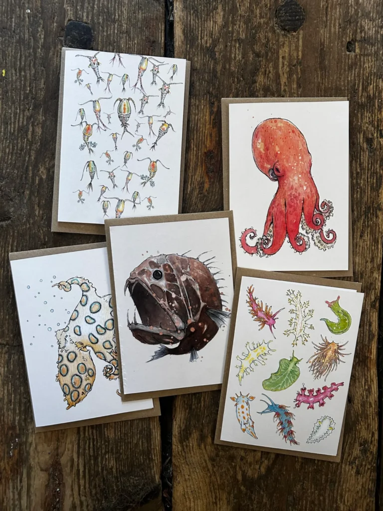 Card - 5pk Marine Biology