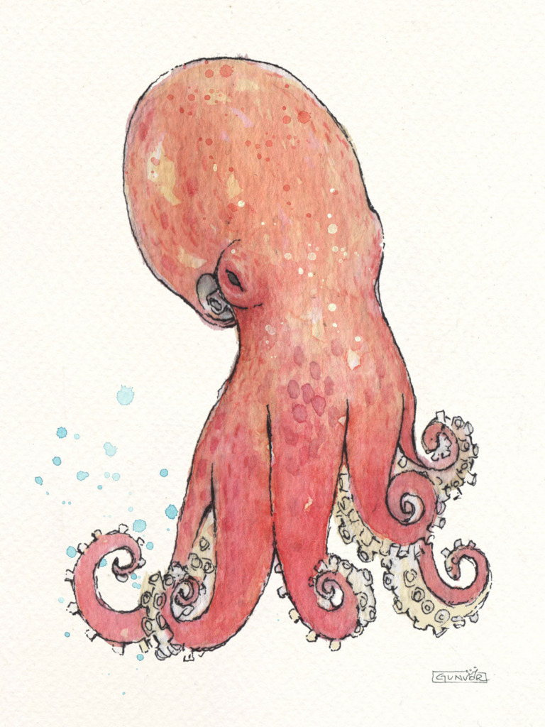 Watercolour and ink coral red octopus with a speckled head, its curling tentacles showing pale suckers, with a few blue water splashes