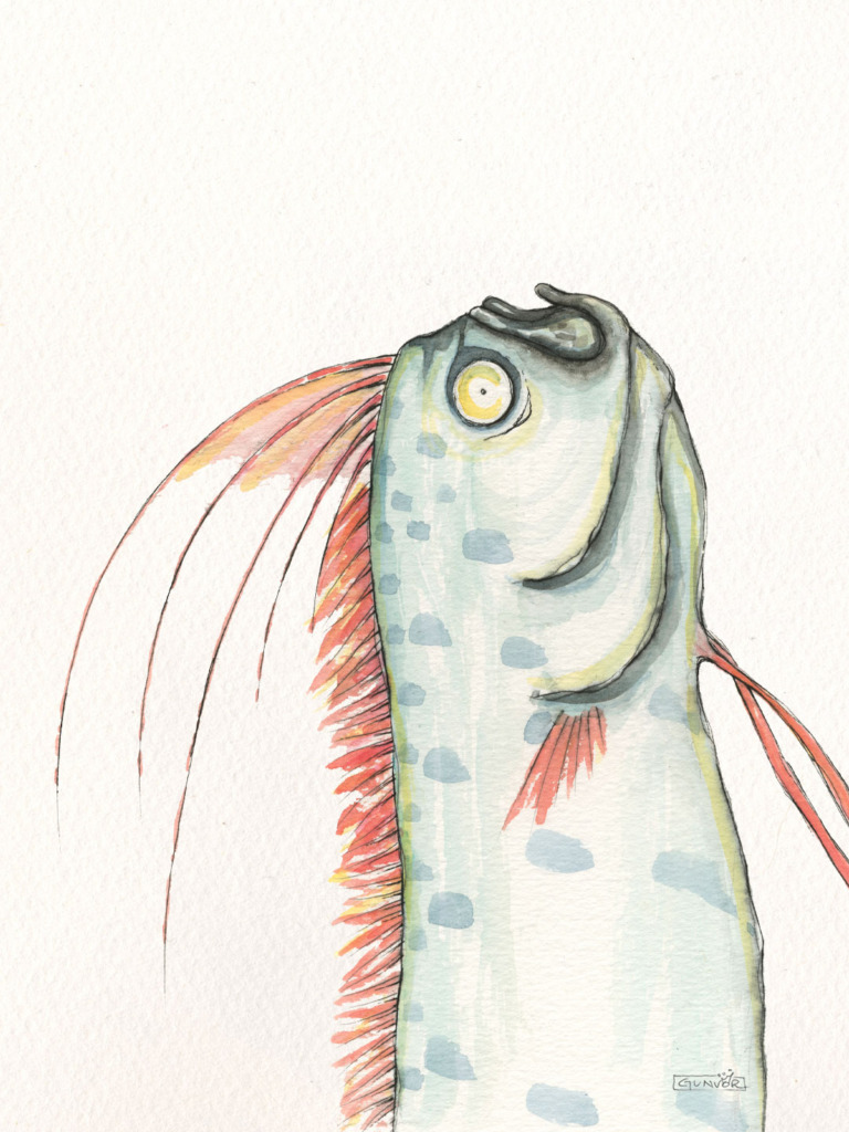 Watercolour and ink oarfish, Regalecus glesne, rising upwards with a big yellow eye, silvery spotted body and long red crest fins