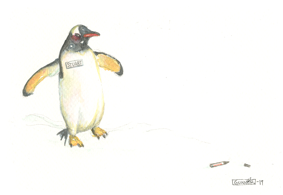 Stuart the penguin, illustration by Gunvor Rasmussen