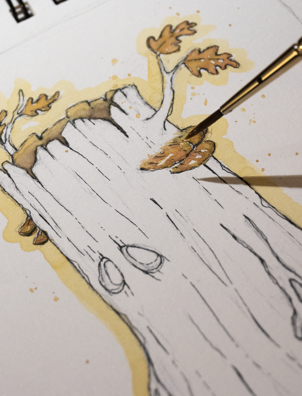 Treestump creature, watercolour process by Gunvor Rasmussen
